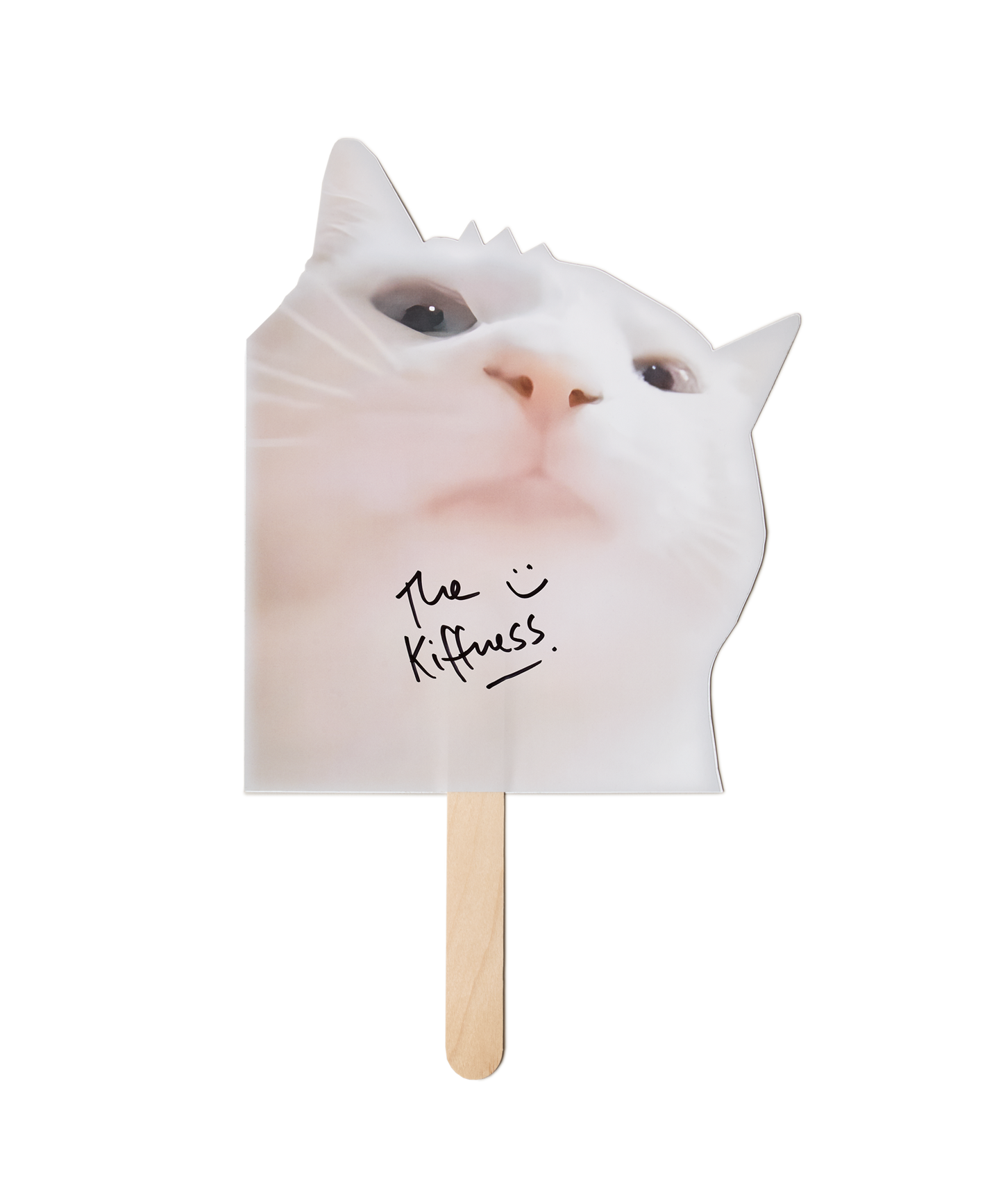 Vibe Cat Sign with hand-signed autograph