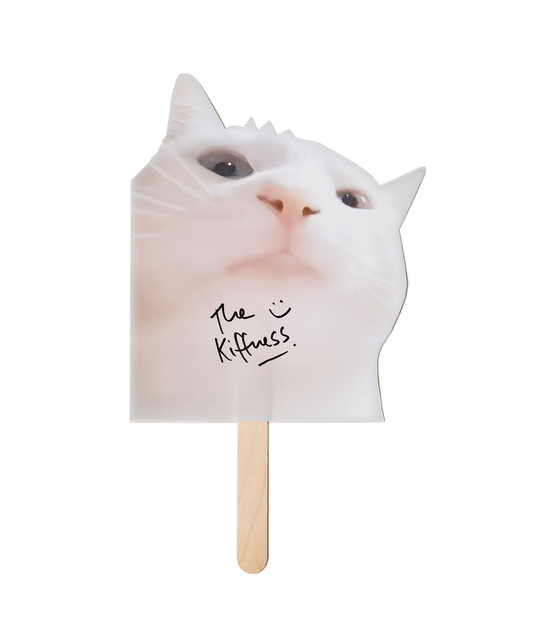 Vibe Cat Sign with hand-signed autograph